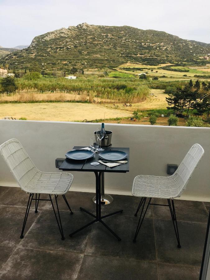 Ninemia Naxos Suites Agios Thaleleos Kültér fotó