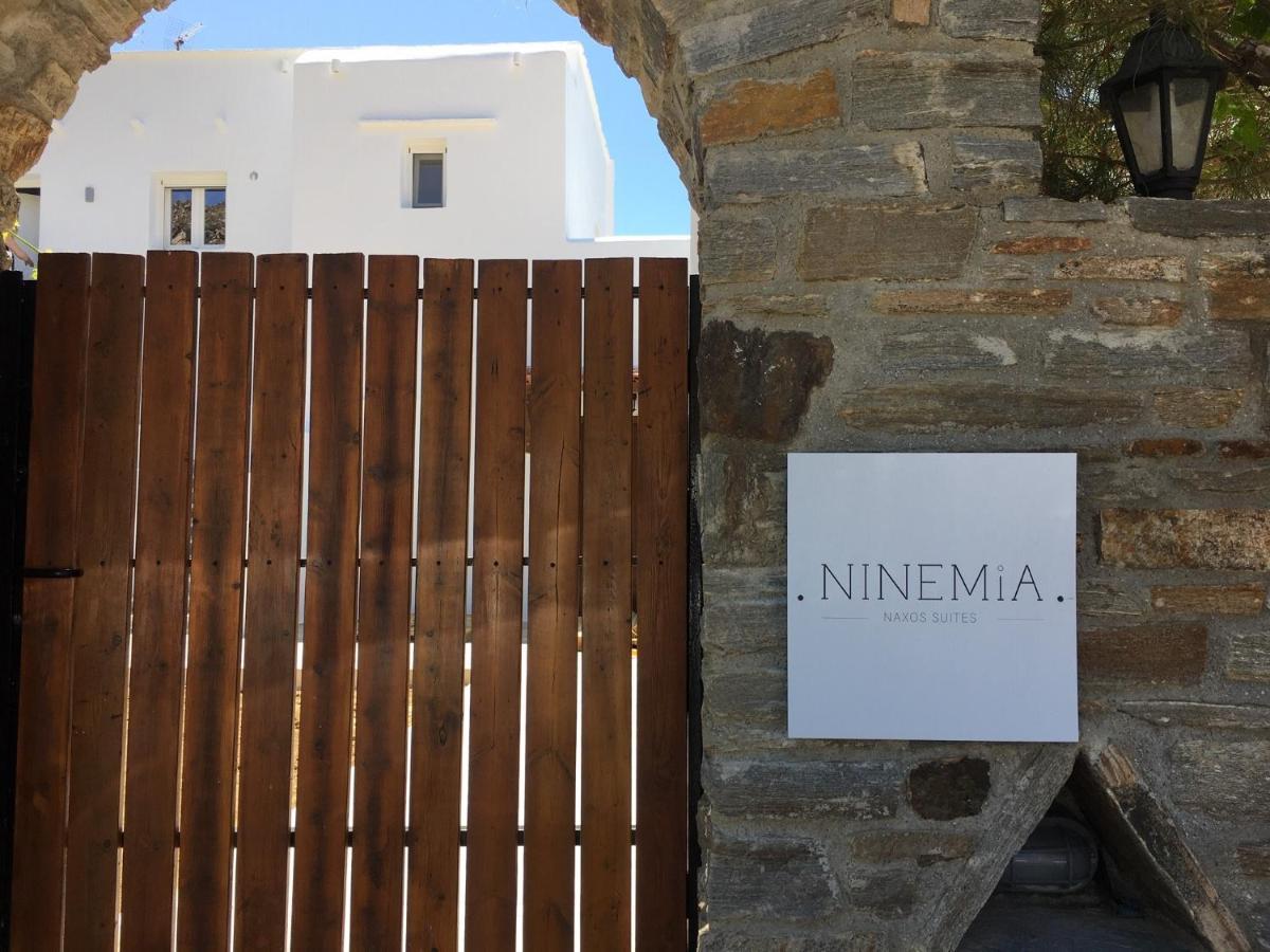 Ninemia Naxos Suites Agios Thaleleos Kültér fotó